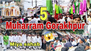 5 vi Muharram Gorakhpur 2024  shahi julus miya sahab  miya sahab walk julus 😱🕌 [upl. by Esertak259]