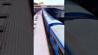 නිල් මකරා ගමනාන්තය අසළම 😘😘 Word Famous bluetrain Come to tour End 😘 train [upl. by Adnamra]