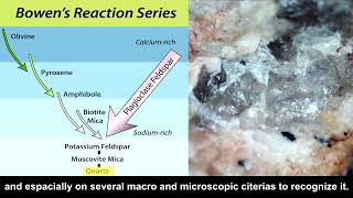 Quartz  séries réactionnelles de Bowen [upl. by Acinhoj184]