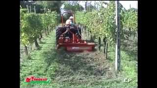 Offset cultivator Coltivatrice interceppi EP Rinieri 2015 [upl. by Heins]