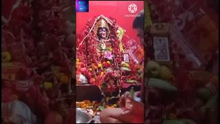 শ্যামা পূজা 2024shorts short thetdm kalipuja shyamapuja [upl. by Kylstra712]