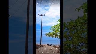 Config Arnova v2Gcam LMC 84 r18gcam configgcam gcamlmc shorts [upl. by Notrab]