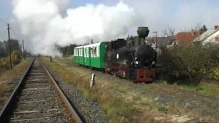 Mixed train to Lenti 2008 [upl. by Ahsino]