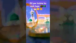 DIL PA KALMA KE ZARAB LAGA ✅🤲💕🌹❣️🕌🇸🇦🕋ALLAHQURAANKALMAISLAMICYOUTUBESHORTSTRENDINGSHORTS [upl. by Xenophon858]