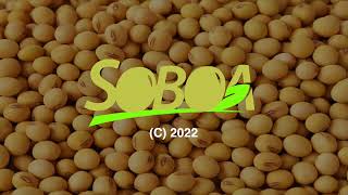 How to become a soya bean contract farmer in Zimbabwe [upl. by Goddard]