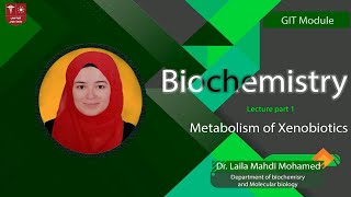 3 Metabolism of Xenobiotics part 1 [upl. by Bergh]