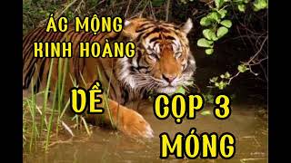 ÁC MỘNG KINH HOÀNG VỀ CỌP 3 MÓNG nongdanmientay123 [upl. by Joed]