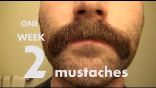 One Week Two Mustaches [upl. by Odnaloy537]