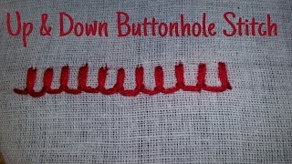 Up amp Down Buttonhole Stitch Embroidery [upl. by Elleirua]