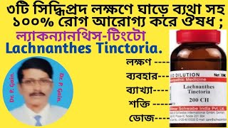 354 ল্যাকন্যানথিস টিংটো কাঁধে ব্যথার উৎকৃষ্ট ঔষধ Lachnanthes Tinc best remedy for shoulder pain [upl. by Myrna]