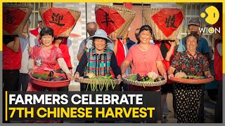 China Farmers Across the Country Celebrate 7th Chinese Harvest  Latest English News  WION [upl. by Auhsoj776]