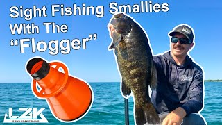 Nearly 26lbs of Lake Ontario Smallmouth Bass while using a Flogger [upl. by Trenna]