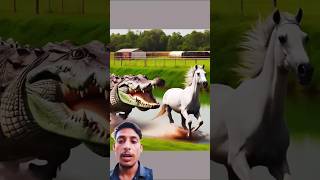 Magarmacch aur ghode ki fighting horse funny shots [upl. by Etterrag819]