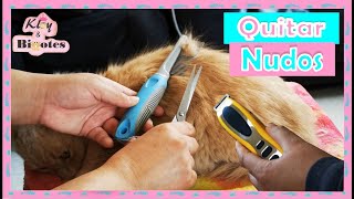 QUITAR NUDOS DEL PELO DE TU FELINO No mas nudos [upl. by Novyar480]