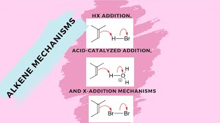 Alkene Reactions Explained HBr AcidCatalyzed Hydration amp Br2 Addition 🧪 [upl. by Aener]