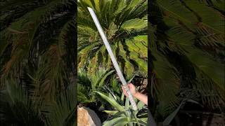 Making a Samurai Sword by sand casting samurai diy sword [upl. by Bohi]