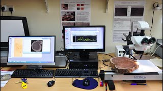 Techniques for Sampling and Analysis in Dendrochronology [upl. by Stempien]