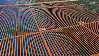 Worlds biggest solar farm plan for Australia [upl. by Suk]