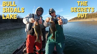 Bull Shoals Bass CRUSH This LURE With Del Colvin Fishing [upl. by Aynot]