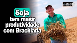 Soja tem maior produtividade com Brachiaria na cobertura de solo reportagem de Fred Olivi [upl. by Rehpotsrhc]