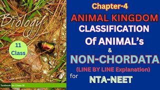 Class 11 Animal kingdom NonChordatesncertbiology Harunbiozone [upl. by Jeroma363]