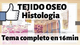 TEJIDO ÓSEO Histologia  hueso esponjoso y compacto MEJOR EXPLICADO [upl. by Yousuf]