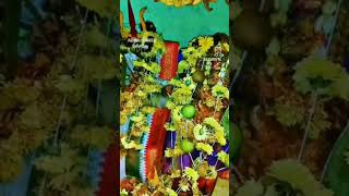 Dashara pooja completed 🙏trendingshorts viralvideo navratri [upl. by Dyun]