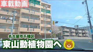 車載動画 名古屋市守山区瀬古から東山動植物園まで [upl. by Aimat]