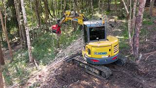 Fecon FMX36 Excavator Mulcher  with Beaver Mulching [upl. by Brier]