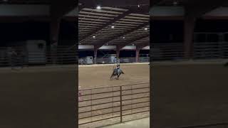 klsmashedaftersix gelding addisonsteele fypシ゚ workharder firstbarrel [upl. by Aubarta]