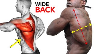 These are the 8 Biggest Back Exercises You Need to Know [upl. by Bust]