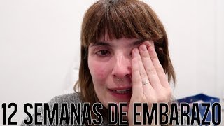 EMBARAZO MELLIZOS  12 semanas de embarazo VLOG  Mamá ingeniera [upl. by Ahsiemal]