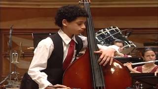 Dragonetti Doublebass Concerto · Rubén Rodríguez · Orquesta Sinfónica Juvenil de Caracas [upl. by Yragerg347]