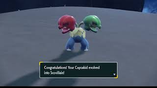 Pokemon VioletMain Shiny Capsakid evolves into shiny Scovillain [upl. by Civ]