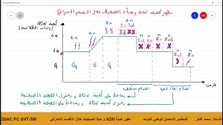 ADNالانقسام الاختزالي تطور كمية [upl. by Adnahsar]