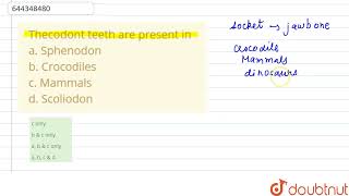 Thecodont teeth are present in a Sphenodon b Crocodiles c Mammals d Scoliodon  12  DIGESTI [upl. by Eniloj799]