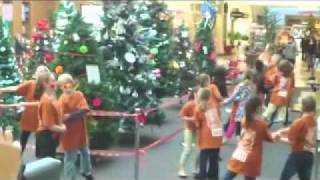 The Nutcracker  Flashmob  Triangle Youth Ballet [upl. by Nunnery]