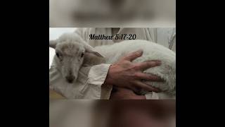 Hes coming soon Matthew 51720 [upl. by Nyrb]