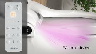 LiveWell Electronic Bidet Seat [upl. by Hanaj]