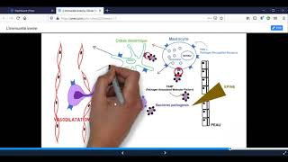 réaction inflammatoire [upl. by Ahsilac710]