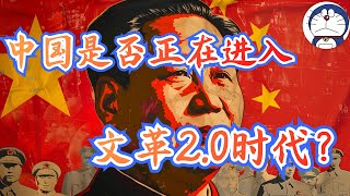 方脸说：中国是否正在进入文革20时代？如何理解中国互联网的乱况？中国离文革还有多遥远？毛星火批判莫言丨农夫山泉亲日丨网友围攻金灿荣 [upl. by Ikkela885]