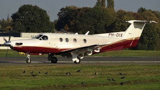 Plane Spotting at Antwerp  vliegtuigspotten op de luchthaven van Antwerpen  Amazing Airport [upl. by Aivul]