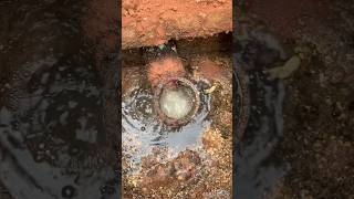 Anatomy of a septic tankhandyman plumbing septictankrepair diy fyp [upl. by Somar]