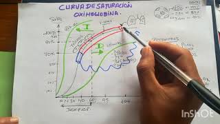 FISIOLOGÍA RESPIRATORIA  CURVA DE LA OXIHEMOGLOBINA [upl. by Ilajna976]