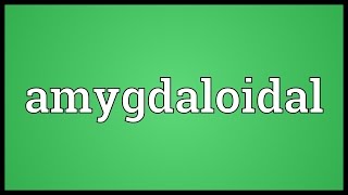 Amygdaloidal Meaning [upl. by Suryc]