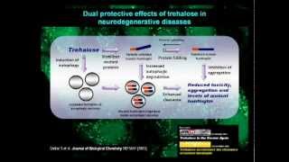 Biochemical Society Early Career Research Award Lecture by Sovan Sarkar [upl. by Ardnohsed]