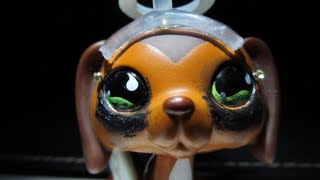 Littlest Pet Shop Popular Episode 15 It All Comes Crashing Down Soustitres français [upl. by Ibot]