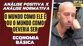 Economista como CIENTISTA ou como CONSELHEIRO  Economia Básica [upl. by Anerec160]