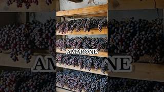 Amarone Şarabı şarap [upl. by Aronos592]