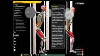 Knee Valgus Collapse During Squat [upl. by Steele]